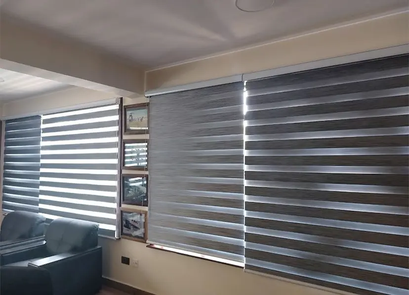 Zebra Blinds 1 Zebra blinds (Copy)