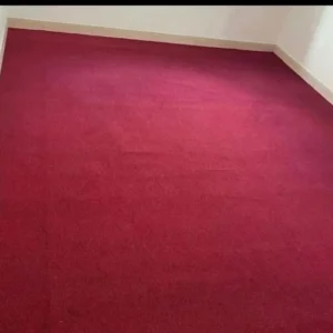 Delta wall-to-wall carpet
